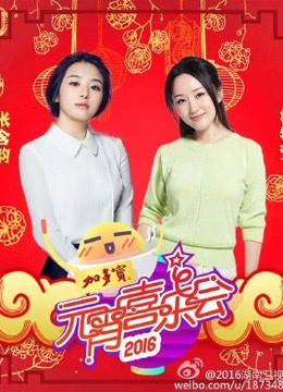 2016湖南卫视...